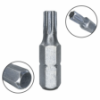 Imagem de BITS TORX T27 - Enc. 1/4" x 25mm [C/10]